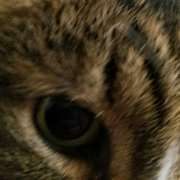 Meet your Posher, Wouter - Picture 1 of 1